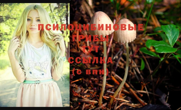 стафф Баксан