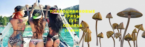 эйфоретик Балабаново