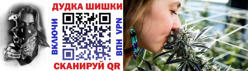 Канабис сатива закладки Барабинск